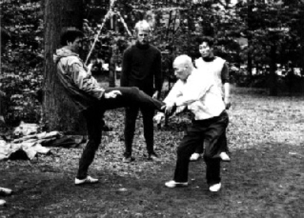 Meiji Jingu Taikiken sharing with Sawai sensei.