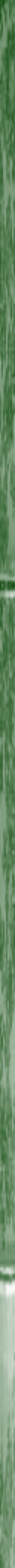 Taikiken green bamboo side stripe
