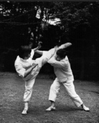 Taikiken defence against mawashi geri.