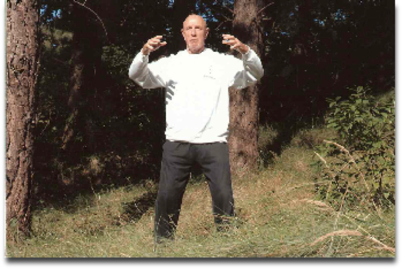 Bert de Waart practicing Ritsuzen during the Taikiken Sunday morning training in Middenduin, Overveen.