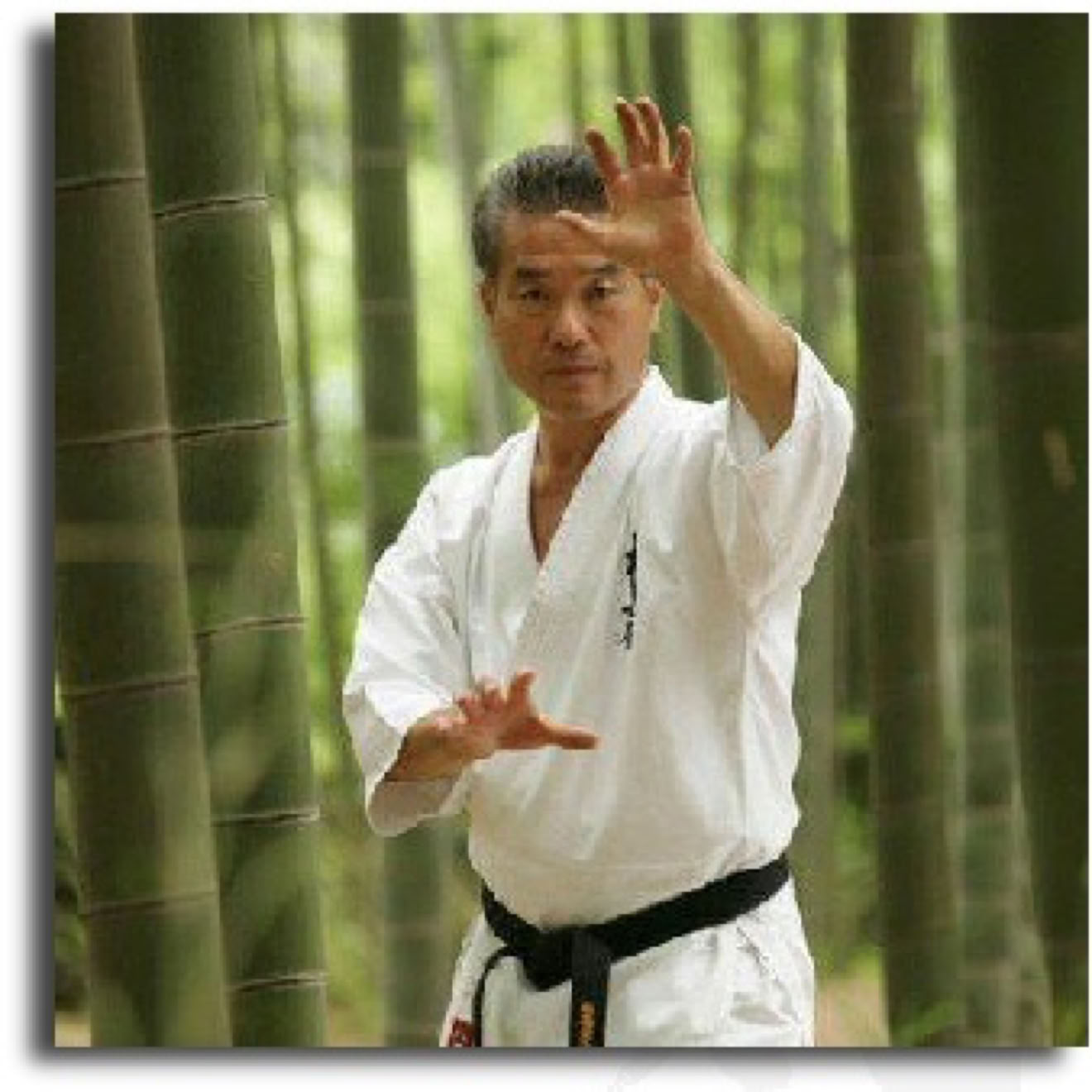 Kancho Royama showing Taikiken Kamai.