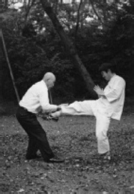 Sawai sensei and Iwama sensei Mae geri uke.