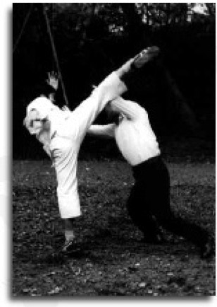 Iwama sensei and Sawai sensei showing Mawashi geri defence. 