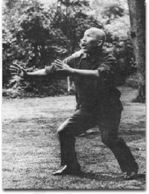 Sawai sensei practicing Tanshu in Maiji Jingu park, Tokyo, Japan.