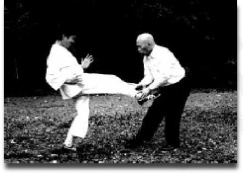 Iwama sensei and Sawai sensei showing Mukae-te defence. against Mae geri.