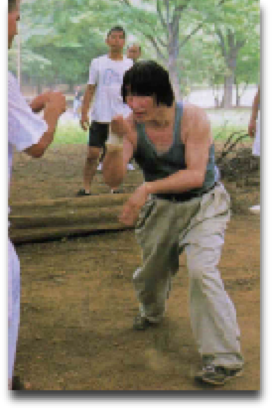 Michio Shimada showing Taikiken Kumite.