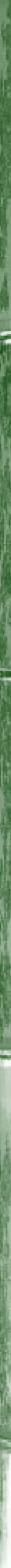 Taikiken green bamboo side stripe