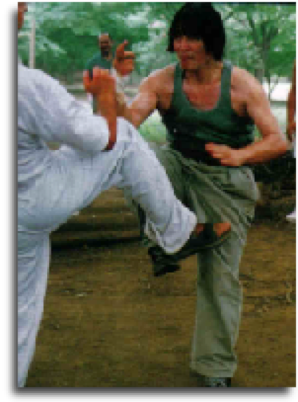 Michio Shimada showing Taikiken free Kumite.