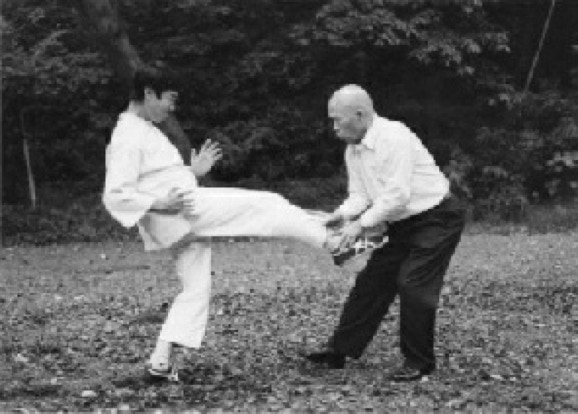 Taikiken Sawai sensei mae geri defence.