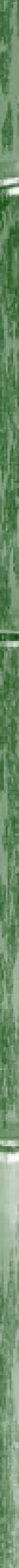 side bar banboo green