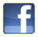 Facebook logo button