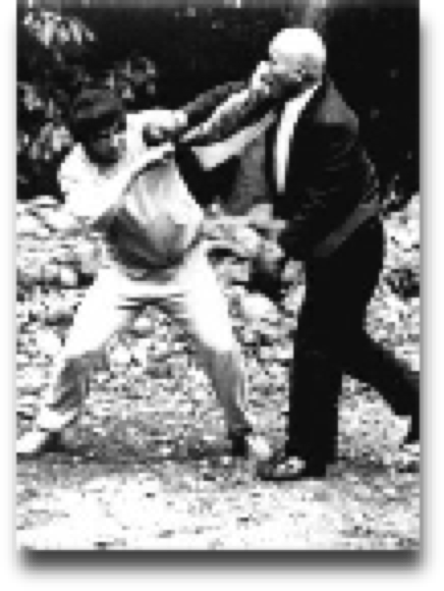 Sawai sensei teaching Kumite during the Sunday morning training in Meiji Jingu.