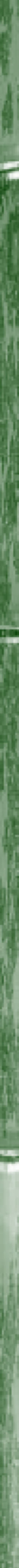 Taikiken side strip green bamboo