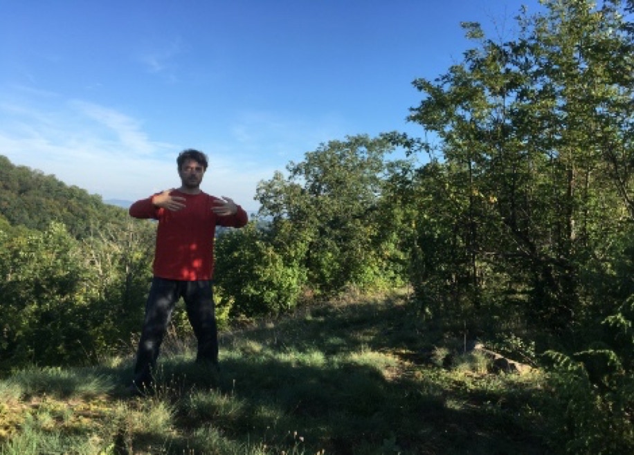 Lucian Herlo-Deleanu Taikiken Ritsuzen outdoor training.