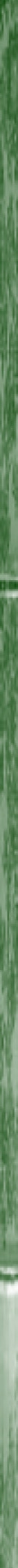 Taikiken green bamboo side stripe