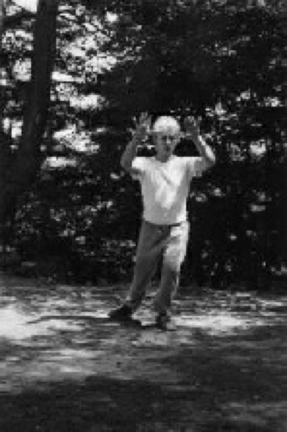 Ron Nansink Meiji Jingu Hai.