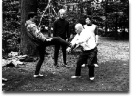 Photo Sawai sensei and Ron Nansink at the Taikiken training in Meiji Jingu, Tokyo, explaining Sashite.