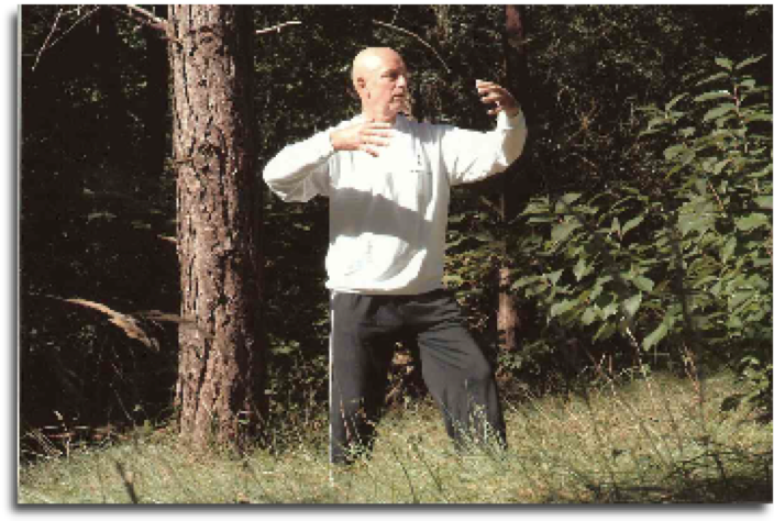 Bert de Waart practicing Han Zen during the Taikiken Sunday morning training in Middenduin, Overveen.