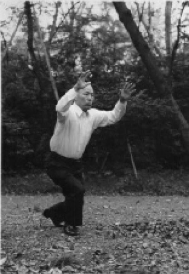 Sawai sensei Hai posture Taikiken.