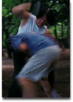 Michio Shimada showing his Taikiken free Kumite style.