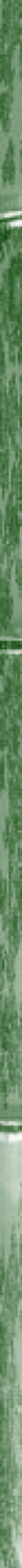 Taikiken green bamboo side stripe
