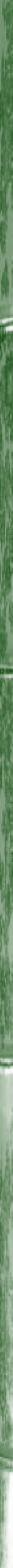 Taikiken green bamboo side strip