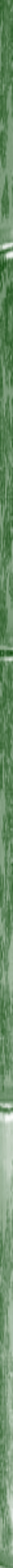 Side bar bamboo green