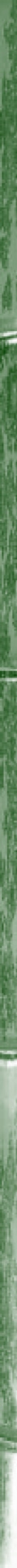 taikiken green bamboo side stripe
