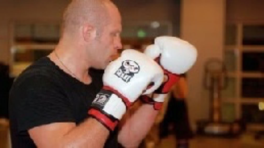 Fedor Emelianenko, Dutch old school kick-boxing part 2,