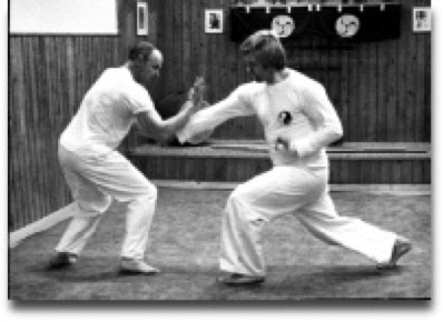 Rinus Schulz, Taikiken demo with Ton Heumen.