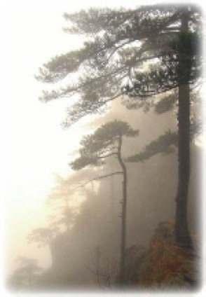 Photo Czech misty landscape