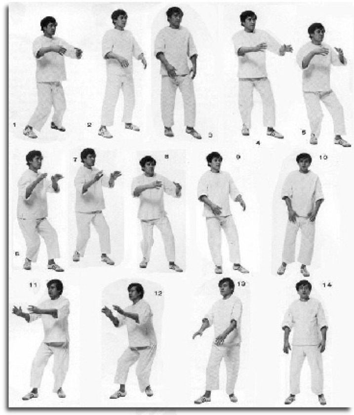 Akio Sawai doing Taikiken Yuri (swaying.)