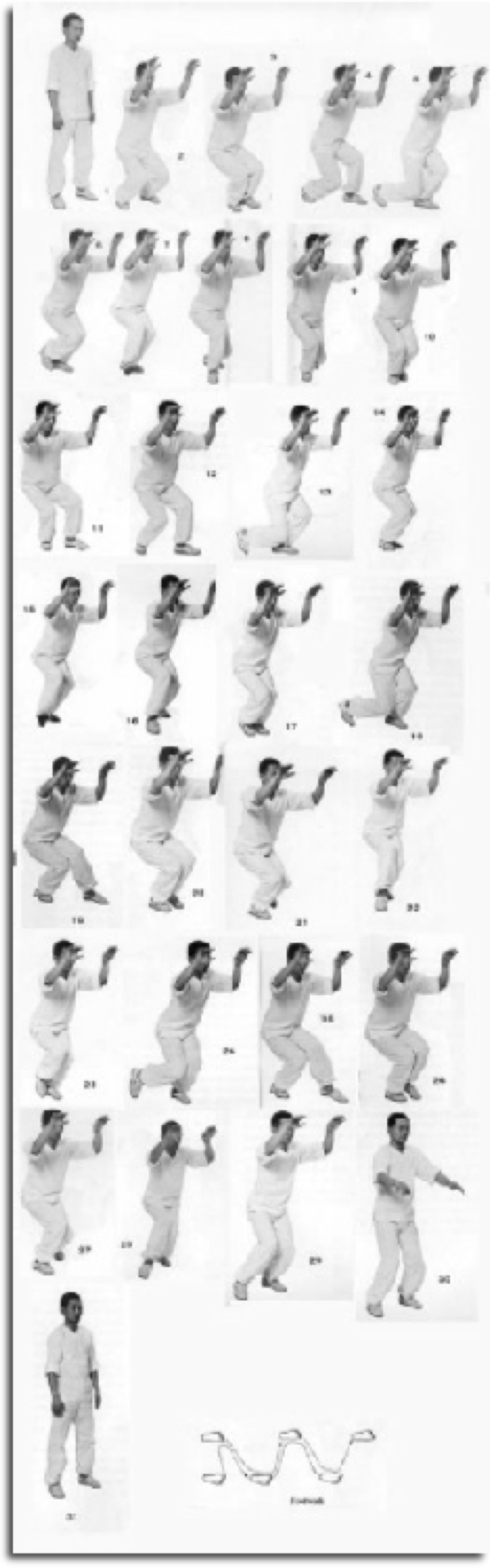 Hai walking in Taikiken, is training for the protection of your body when it is attacked.  Taikiken split the body, into three parts, heaven, earth, and man.