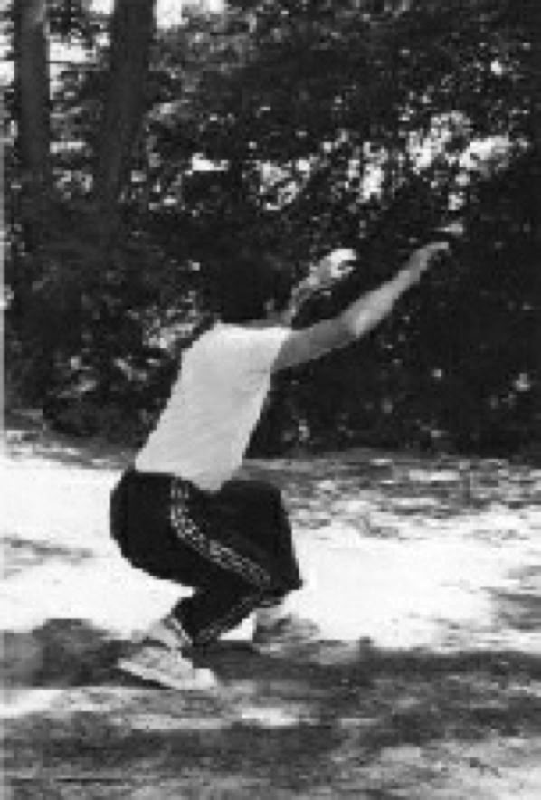 Saito sensei deep Hai Taikiken side view right.