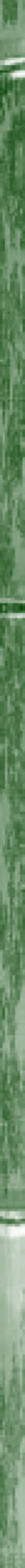 Taikiken bamboo side strip green