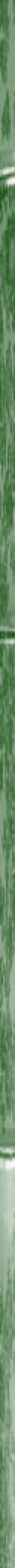 Side bar bamboo green