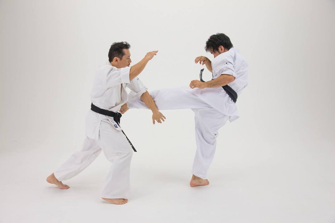 Naotake Shimamura Taikiken sensei Mawash geri defence.sensei.